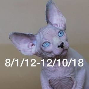 Meet your Posher, Shastri